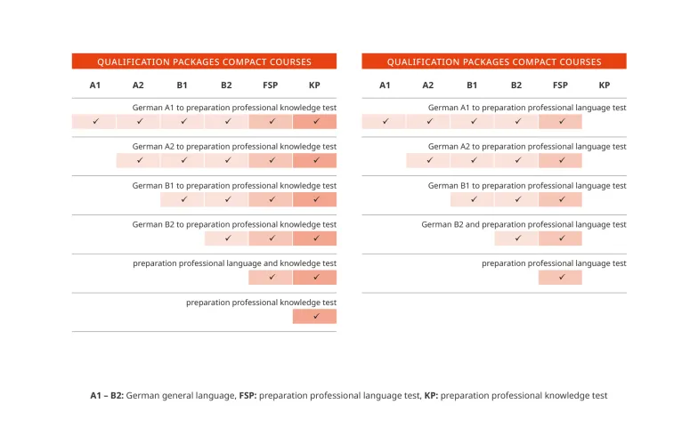 Aperçu des cours compacts de médecine dentaire pour les participants payant eux-mêmes les frais des cours titulaires d'un diplôme d'un pays non membre de l'UE