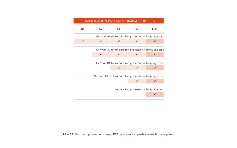 Aperçu des cours compacts de médecine dentaire pour les participants payant eux-mêmes les frais des cours titulaires d'un diplôme de l'UE