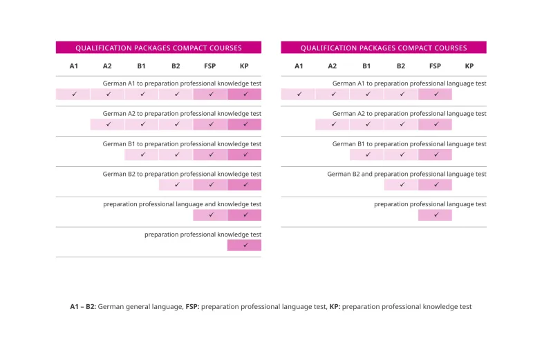Overview pharmacy compact courses for self-pay participants with a non-EU degree