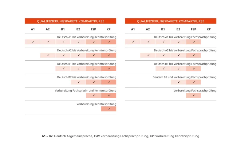 Übersicht Kompaktkurse Zahnmedizin für Selbstzahler mit einem nicht-EU Abschluss
