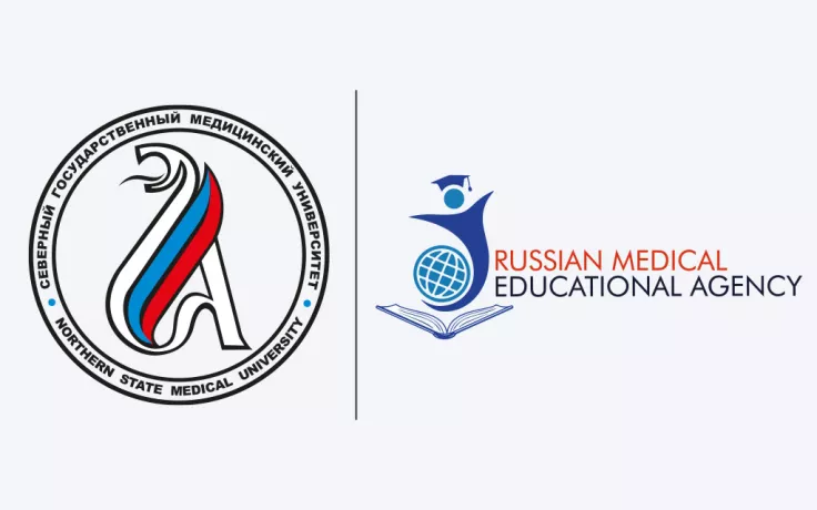 NSMU RMEA Logo